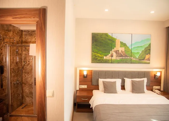 Deryaman 3* טראבזון